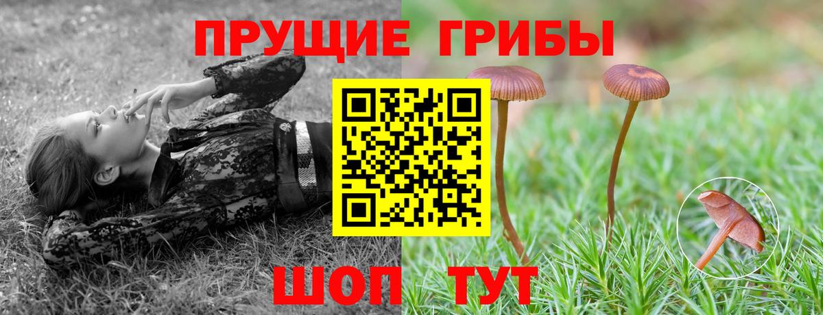 Галлюциногенные грибы прущие грибы Орёл