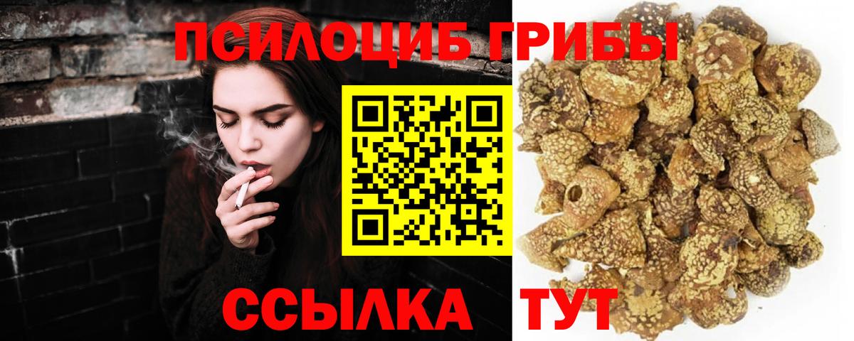 Псилоцибиновые грибы GOLDEN TEACHER  Псилоцибиновые грибы мицелий  Вход с VPN  Орёл 